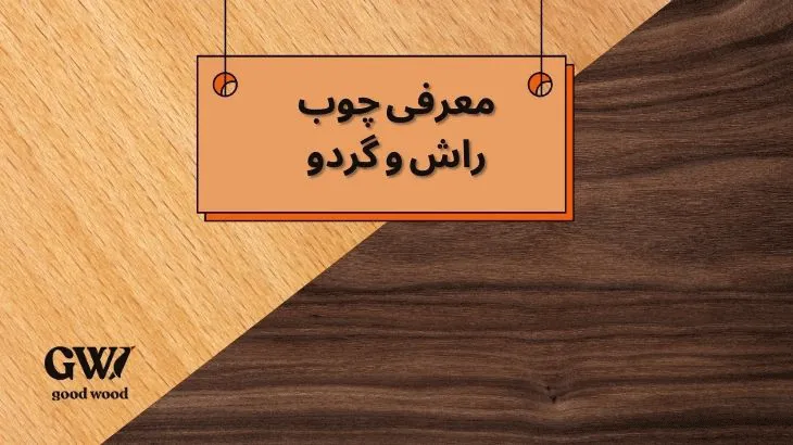 مقایسه چوب راش و گردو؛ از بافت تا کاربرد نمای نزدیک از بافت چوب راش و چوب گردو در کنار هم